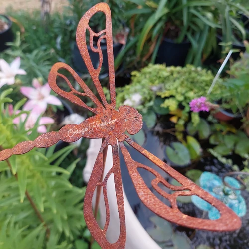 Szitakötő leszúró