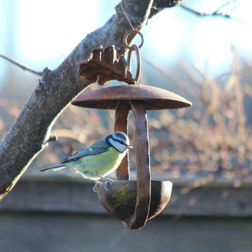 Tölgyfaleveles Madáretető Kehely, akasztós