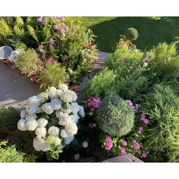 Hortenzia támaszték 80cm