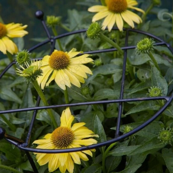 Növénytámaszték 60 cm átmérővel