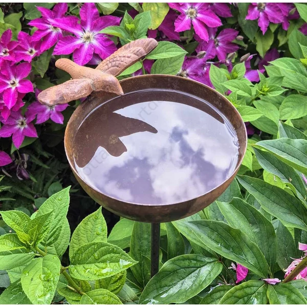 Madárkás madáritató kehely