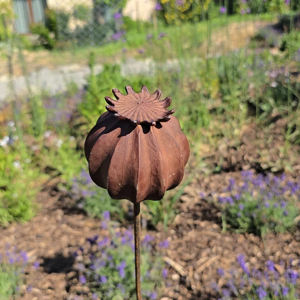 Antik Mákgubó  - rozsdabarna