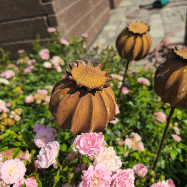 Antik Mákgubó  - rozsdabarna