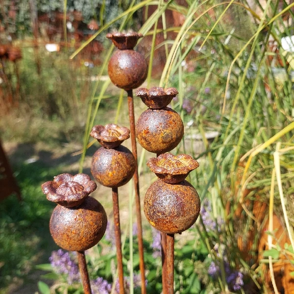 Mini virágzó mákgubó