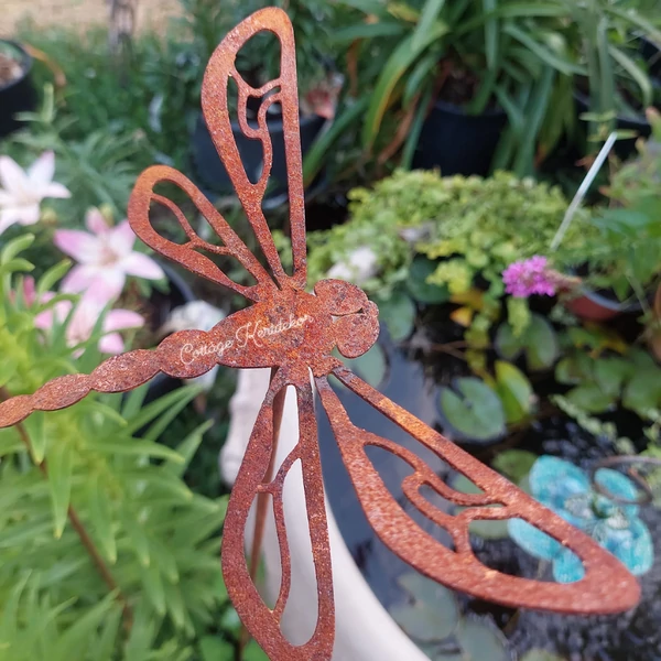 Szitakötő leszúró