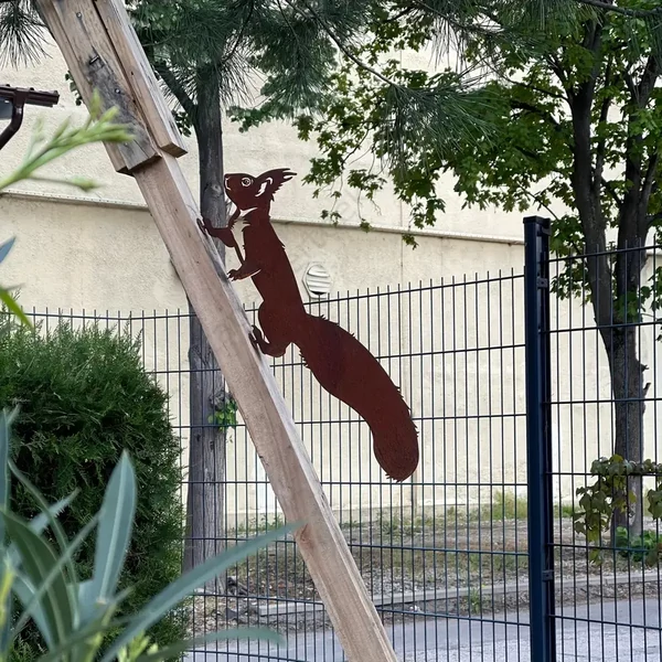 Fára mászó mókus