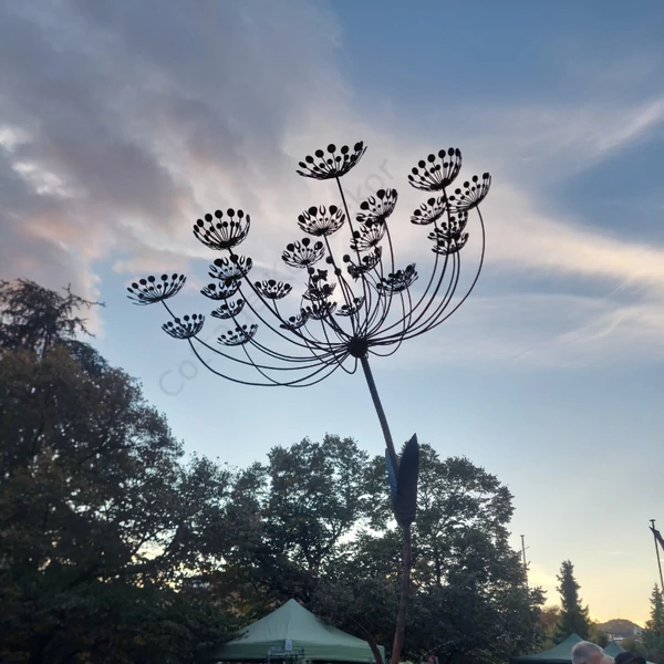 Óriás kaporvirág - Prémium dekoráció