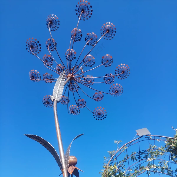 Óriás kaporvirág - Prémium dekoráció