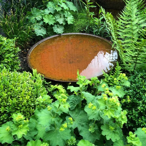 Óriás madáritató tányér - (70 cm)